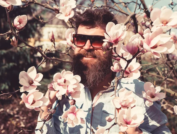 Βάναυση macho χαμογελώντας κοντά τρυφερά λουλούδια στην ηλιόλουστη μέρα. Άντρας με γένια και μουστάκι φοράει γυαλιά ηλίου, magnolia λουλούδια φόντο. Hipster με μοντέρνα γυαλιά ηλίου. Κτηνωδία και τρυφερότητα πρωτότ — Φωτογραφία Αρχείου