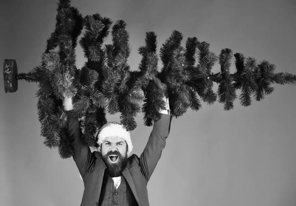 Businessman with excited face holds bald Christmas tree up.