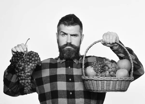 Hombre con barba sostiene cesta de frutas y racimo de uvas —  Fotos de Stock