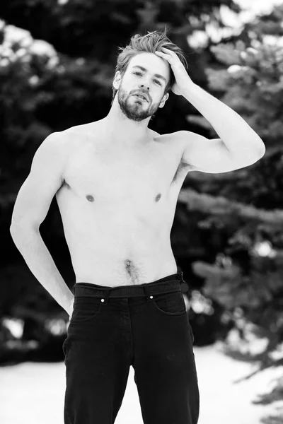 Handsome bearded man or sexy guy with muscular body, chest and torso in winter outdoor at green fir tree with snow on natural backgroun — Stock Photo, Image