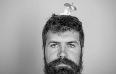 Adam yakışıklı hipster uzun sakal neredeyse kafasına elma güdük hedef olarak yem. Kilo kaybı gol. Hipster sakin yorgun yüz baş mavi arka plan, elma güdük hedef ile kapatın. Canlı hedef kavramı