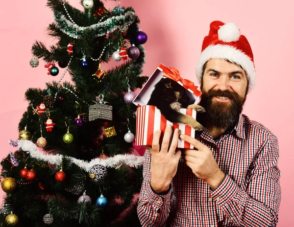 Parti ve Noel konsepti. Köpek yılı kış tatili ve xmas — Stok fotoğraf