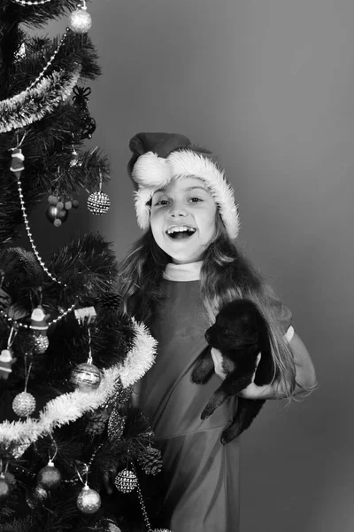 Animale domestico per Natale. Ragazzo con viso allegro da albero di Natale — Foto Stock