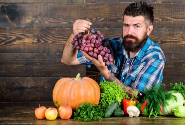 Üzüm kendi bahçesinden. Çiftçi üzerinde tablo tutun üzüm homegrown hasat adamla sakallı. Çiftçi üzüm hasat gurur. Ahşap arka plan üzüm dostum. Sebze organik hasat. Tarım kavramı