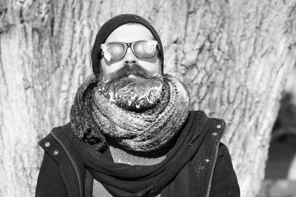 黒いサングラス 白い霜で覆われたスカーフでひげと口ひげを生やしたハンサムな髭の男 ヒップスター 冬の日に木の近くに立つ自然の背景で屋外 — ストック写真