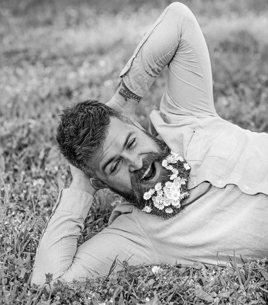 Bearded man with daisy flowers in beard lay on meadow, lean on hand, grass background. Man with beard on yawning face have rest. Hipster with bouquet of daisies in beard relaxing. Relaxation concept
