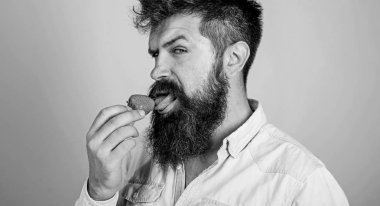 Yani nasıl tadı yaz. Adam yakışıklı seksi çilek dil yalama uzun sakallı hippi. Hipster sulu olgun kırmızı çilek tadını çıkarın. Adam yalama tatlı meyve. Erotik kavramı. Oral muamele