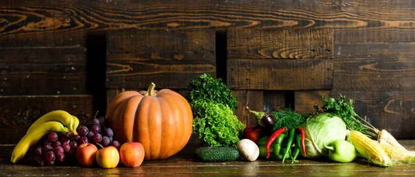 Herbsternte Bioprodukte Kürbismais-Gemüse. Gemüse aus Garten oder Bauernhof hautnah. Gemüse aus eigenem Anbau. frisches Bio-Gemüse auf dunklem Holzgrund. Lebensmittelgeschäft-Konzept — Stockfoto