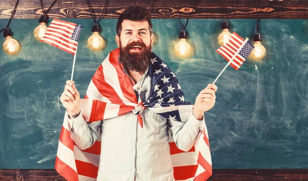 Patriottische opvoeding concept. Amerikaanse leraar golven met Amerikaanse vlaggen. Man met baard en snor op blij gezicht houdt vlaggen van de VS, in de klas, schoolbord op achtergrond. Student exchange programma — Stockfoto
