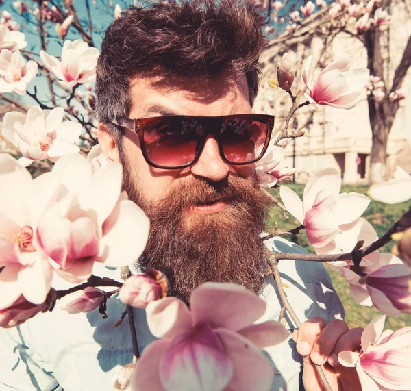 Brutal macho sorrindo perto de flores macias no dia ensolarado. Homem com barba e bigode usa óculos de sol, fundo de flores de magnólia. Conceito de brutalidade e ternura. Hipster com óculos de sol na moda — Fotografia de Stock