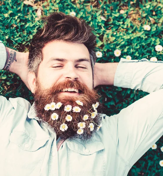 Hipster en la cara alegre se encuentra en la hierba, vista superior. Concepto de primavera. El tipo se ve muy bien con flores de margarita o manzanilla en barba. Hombre con barba larga y bigote, fondo de pradera verde desenfocado — Foto de Stock