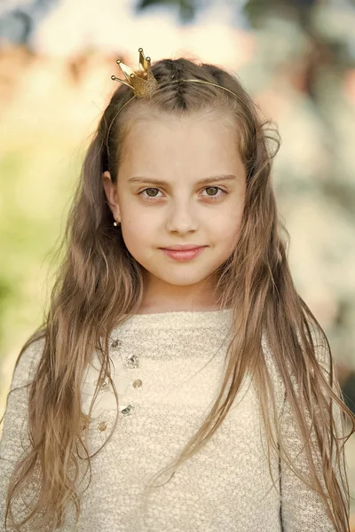 Portrait of a lovely little happy princess girl — Stock Photo, Image