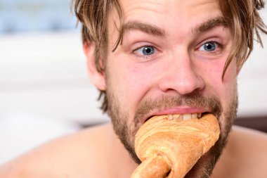 Yakışıklı adam yatakta Internet tarama. Bekar eğleniyor. Tatil ve sabah bir fincan kahve ve kruvasan zevk ile yatakta genç mutluluk adam. Kahvaltı Fransız.