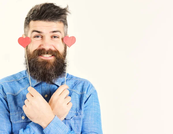 Barbudo hombre serio con camisa azul sostiene pequeños corazones de San Valentín. guapo sonriente chico aislado en blanco backgroun —  Fotos de Stock