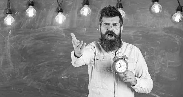 Schedule and regime concept. Bearded hipster holds clock, chalkboard on background, copy space. Man with beard on shouting face on arguing expression. Teacher in eyeglasses holds alarm clock — Stock Photo, Image