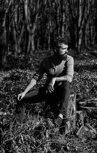 Un tipo con barba se sienta en el tocón de un árbol en el bosque —  Fotos de Stock