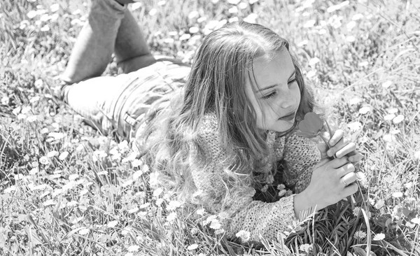 Spring break concept. Child enjoy spring sunny day while lying at meadow with daisy flowers. Girl lying on grass, grassplot on background. Girl on calm face holds red tulip flower, sniffs aroma