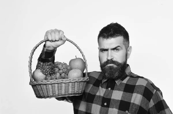 Anbau- und Herbstpflanzenkonzept. Mann mit Bart hält Korb — Stockfoto