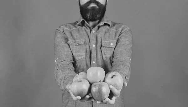 Hombre con barba sostiene fruta roja aislada sobre fondo verde —  Fotos de Stock