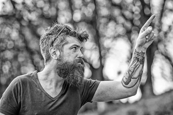 Homme à longue barbe et moustache pointant vers le haut avec le doigt, fond déconcentré. Guy a l'air cool avec une barbe élégante et une coupe de cheveux. Concept de salon de coiffure. Hipster avec barbe grise sur le visage réfléchi — Photo