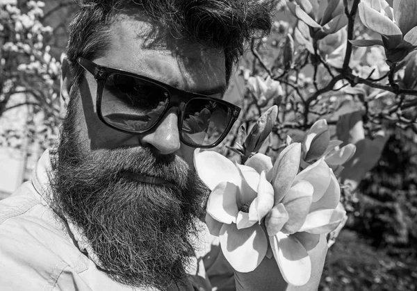 Guy se ve genial con gafas de sol con estilo. El hombre con barba y bigote lleva gafas de sol en el día soleado, flores de magnolia en el fondo. Hipster con gafas de sol de moda. Brutalidad y ternura concep — Foto de Stock