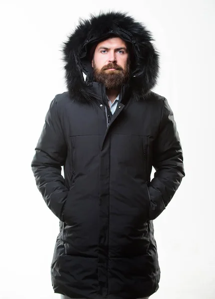 Abbigliamento da uomo alla moda invernale. Vestito invernale. Uomo barbuto stand giacca calda parka isolato su sfondo bianco. Moda invernale hipster. Guy indossa giacca invernale nera con cappuccio. Preparati ai cambiamenti climatici — Foto Stock