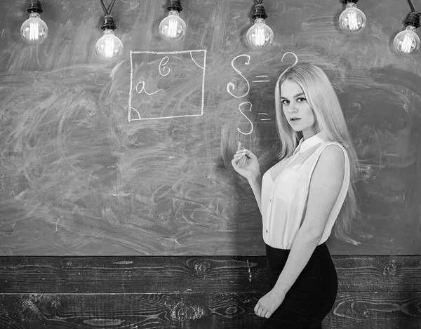 Жінка з гарними сідницями викладає математику. Сексуальна концепція вчителя. Леді сексуальний вчитель з довгим волоссям пояснює формулу. Викладач математики написання на дошці — стокове фото