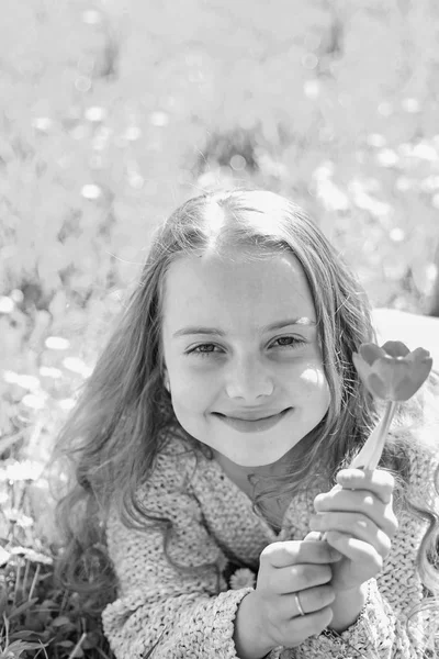 Kırmızı lale çiçek kız güler yüz tutan, aroma zevk. Gençlik ve kaygısız kavramı. Çimen, grassplot arka plan üzerinde yatan kız. Çocuk zevk çayır çiçeklerle yatarken bahar güneşli gün