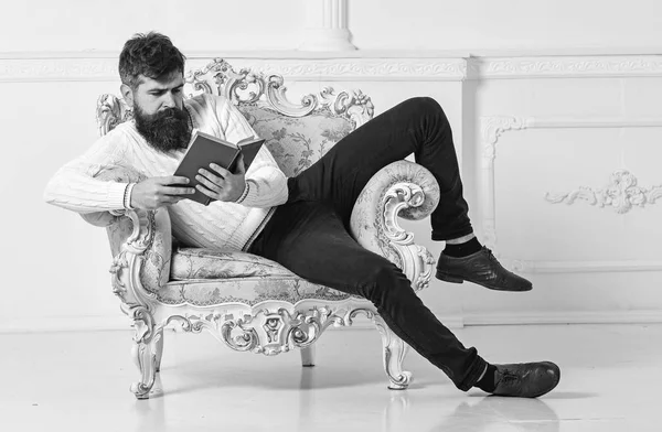 Concepto inteligente. Hombre con barba y bigote se sienta en el sillón y lee libro, fondo blanco de la pared. Macho smart pasa el ocio con el libro. Científico, profesor de cara ocupada explora la literatura —  Fotos de Stock