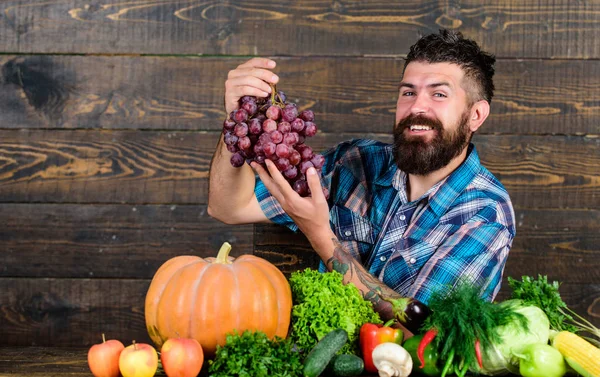 Concetto agricolo. Uve da proprio giardino. Un contadino barbuto con vendemmia fatta in casa su uva da tavola. Agricoltore orgoglioso della vendemmia. Uomo tenere uva sfondo in legno. Ortaggi raccolta biologica — Foto Stock