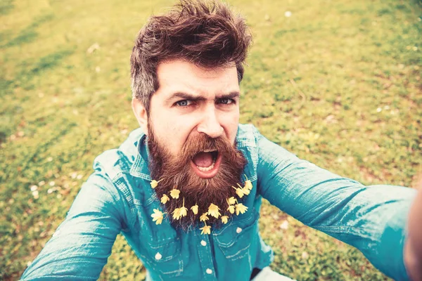 Doğal güzellik kavramı. Sakallı bahar, yeşil çayır arka plan sahiptir. Hipster yüz bağırarak üzerinde defocused çimenlerin üzerinde oturur. Selfie fotoğrafta sakallı küçük kırlangıçotu çiçekli adam
