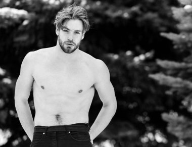yakışıklı adam ya da kas vücut, göğüs ve gövde ile seksi adam Kışın açık yeşil çam ağacı ile doğal adam karda, sakallı
