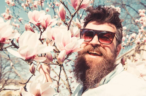 Homme à la barbe et à la moustache porte des lunettes de soleil le jour ensoleillé, des fleurs de magnolia sur fond. Concept printanier. Guy a l'air cool avec des lunettes de soleil élégantes. Hipster heureux avec des lunettes de soleil à la mode — Photo