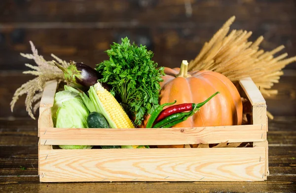 Servizio di consegna verdure fresche da fattoria. Scatola o cestino raccolta verdure fondo in legno. Verdure di ottima qualità. Concetto di negozio di alimentari. Compra verdure fresche fatte in casa. Solo dal giardino — Foto Stock