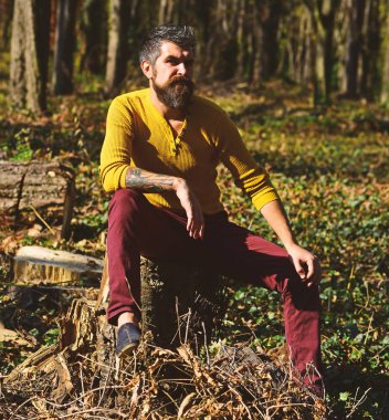 Maço parkta vakit geçiriyor. Güdük üzerinde sakallı adam