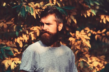 Sonbahar sezonu ve erkeklik kavramı. Ciddi yüzlü adam.