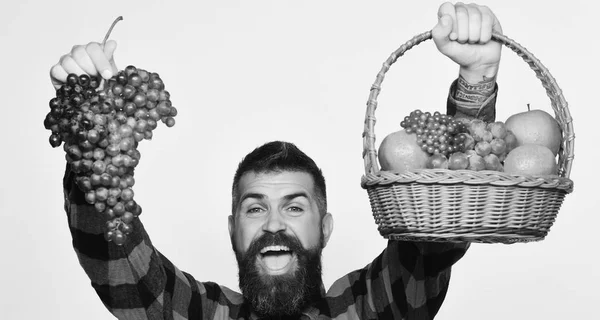 Kerl mit Ernte. Mann mit Bart hält Korb mit Obst — Stockfoto