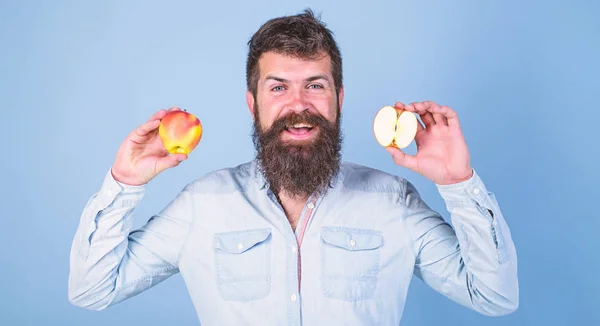 Healthy alternative. Apples in both hands healthy alternative. Man bearded smiling holds apples in hands blue background. Healthcare dieting vitamin nutrition. Totally healthy nutrition concept — Stock Photo, Image