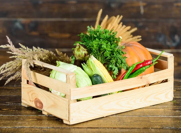 Buy fresh homegrown vegetables. Just from garden. Delivery service fresh vegetables from farm. Box or basket harvest vegetables wooden background. Excellent quality vegetables. Grocery shop concept — 图库照片