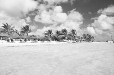 Costa Maya, Meksika - 01 Şubat 2016: deniz plaj. Mavi su, beyaz kum ve tropikal deniz plaj avucunda. Karayip Denizi sahilinde yaz tatili. Deniz plajda dinlenebilir. Macera var