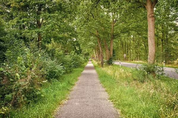 Sideway of countryside road in summer nature. Footpath with green trees and grass on sides. Direction and destination. Summer vacation travelling and wanderlust — Stock Photo, Image