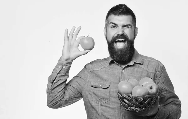 Hombre con barba sostiene cuenco de mimbre con frutas de manzana —  Fotos de Stock