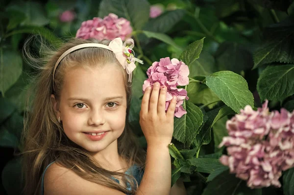 Malé děvčátko s usměvavou tvář mezi květy růžové hortenzie — Stock fotografie