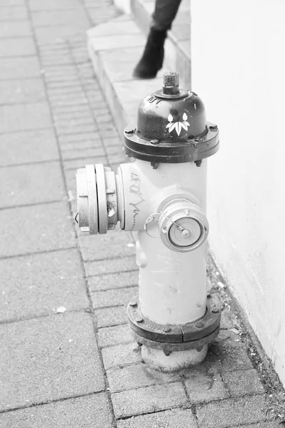 Hidrante de fuego amarillo en la calle reykjavik iceland. La boca de incendios también llamada enchufe de fuego puede aprovechar el suministro de agua. Concepto activo de protección contra incendios. Brillante boca de riego en la calle gris país escandinavo — Foto de Stock