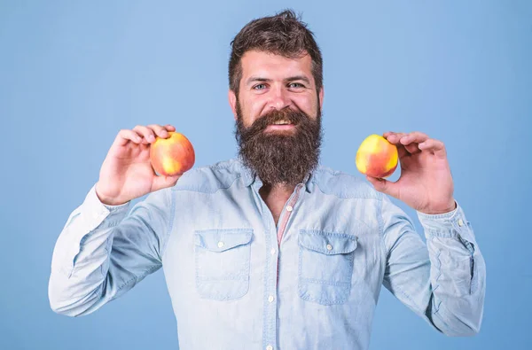 Харчовий вибір. Чоловік з бородатим хіпстером тримає яблучний фрукт в руці. Факти харчування та користь для здоров'я. Яблука популярного типу фруктів у світі. Яблучні антиоксидантні сполуки, відповідальні за користь для здоров'я — стокове фото