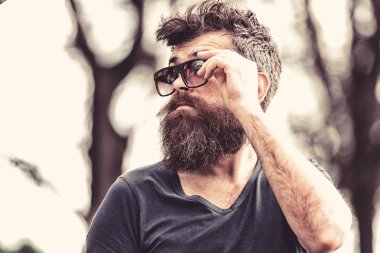 Sakallı adam güneş gözlüğü alır. Berber ve stil kavramı. Sakallı hippi açık havada duran ise şık görünüyor. Adam sakal ve bıyık sıkı yüzündeki defocused arka plan, dallarda