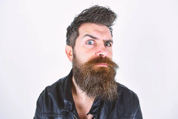 Hipster looks surprised and suspicious while raising his eyebrow. Masculinity concept. Man with beard and mustache on strict face looking at camera. Macho wears leather jacket, white background