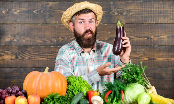 Man with beard wooden background. Farmer with organic vegetables. Excellent quality harvest. Grow organic crops. Organic fertilizers make soil and plants healthy and strong. Organic pest control