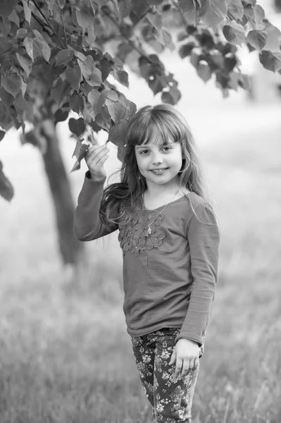 निसर्गातील लहान मुलगी झाडाखाली उभे — स्टॉक फोटो, इमेज