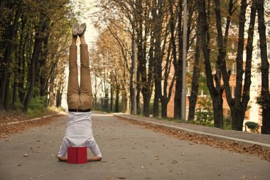 Adam baş park yolu üzerinde durmak. Öğrenci kitap baş aşağı sonbahar açık ile. İş hayatı dengesi. Eğitim ve bilgi. Yoga egzersiz başı ve spor